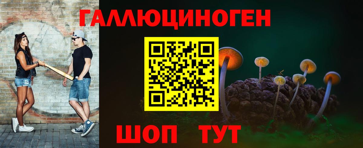 Минусинск  Псилоцибиновые грибы Psilocybine cubensis  Вход с VPN  Галлюциногенные грибы мицелий 